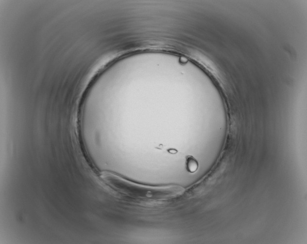 X0000113561283200910161448