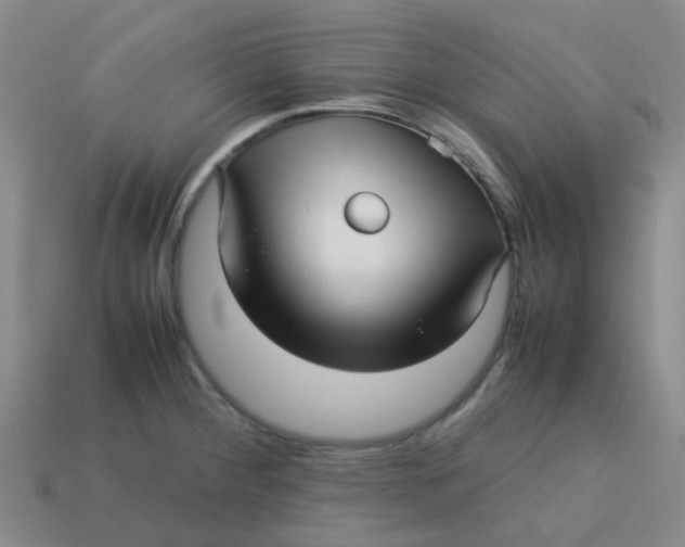 X0000113561284200910161448