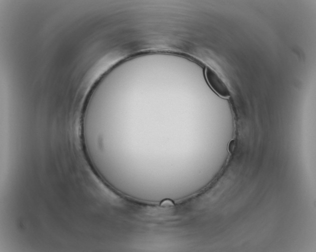 X0000113561285200910161448
