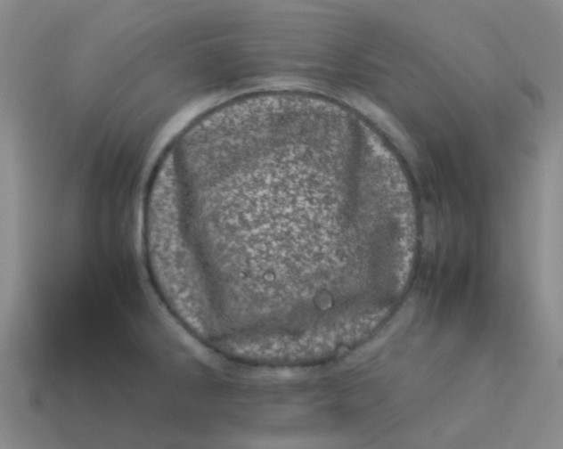 X0000113561286200910161448