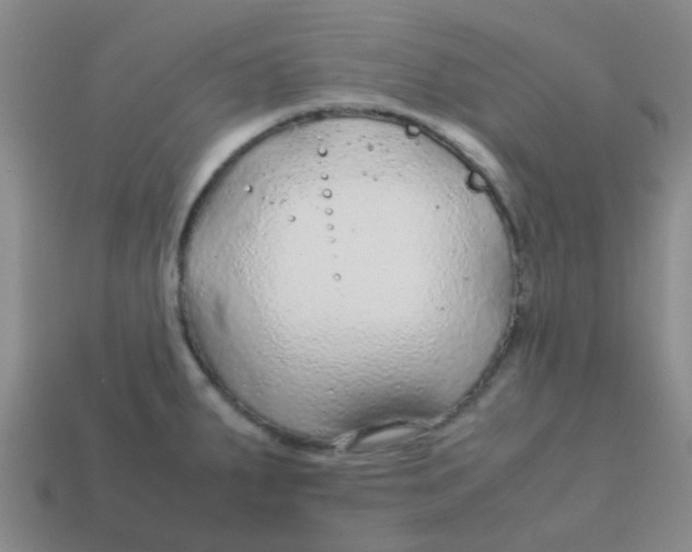 X0000113561287200910161448