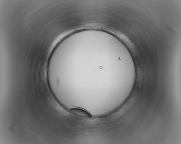 X0000113561288200910161448