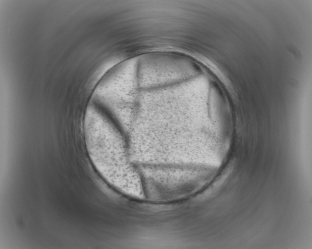 X0000113561289200910161448