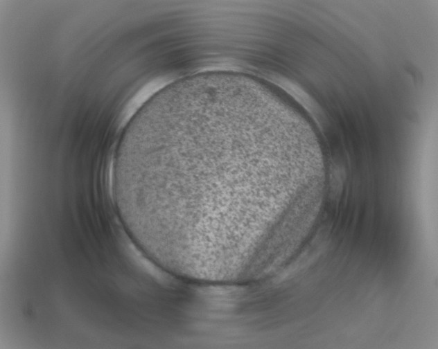 X0000113561290200910161448