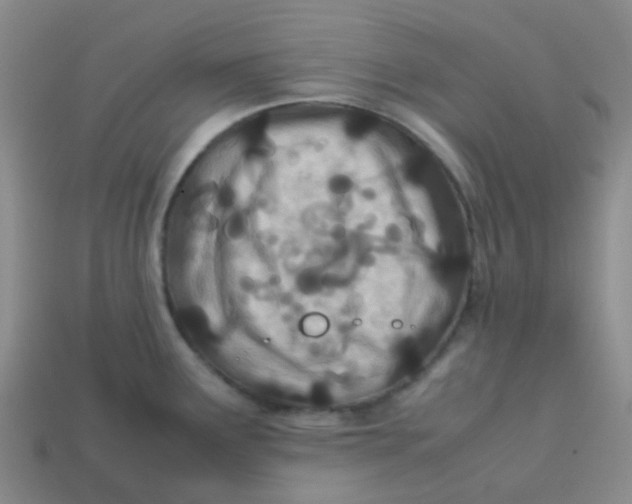 X0000113561291200910161448