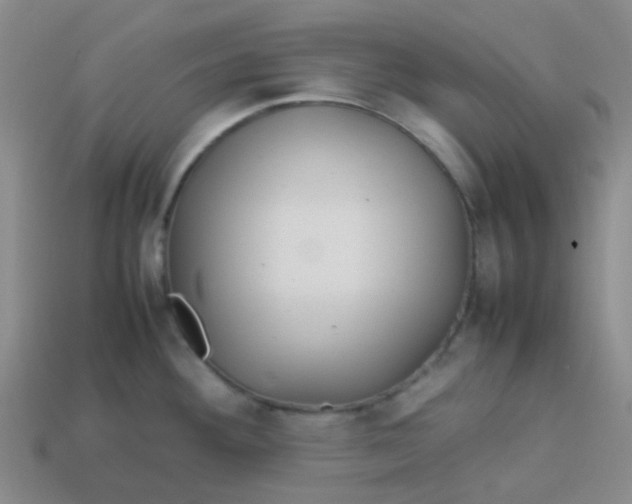 X0000113561292200910161448