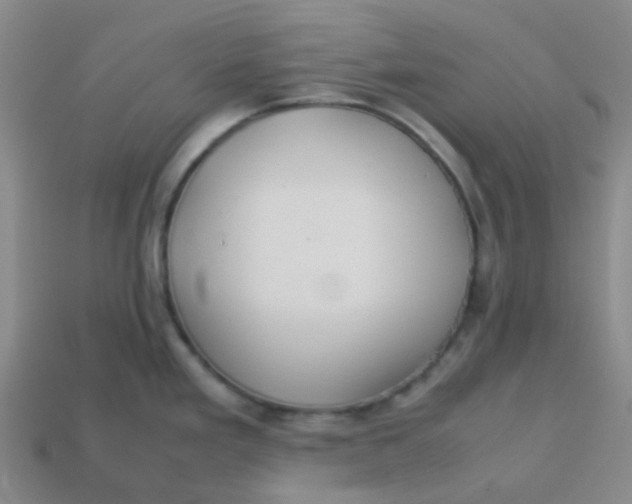 X0000113561293200910161448