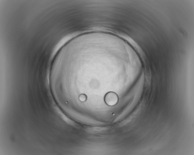 X0000113561294200910161448