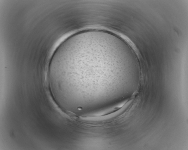 X0000113561295200910161448