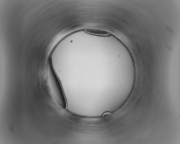X0000113561296200910161448