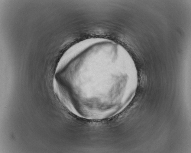 X0000113561297200910161447