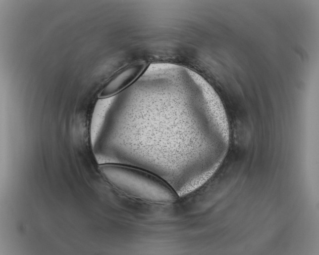 X0000113561298200910161447
