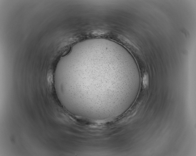 X0000113561299200910161447
