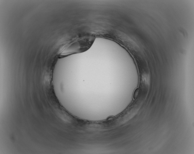 X0000113561300200910161447