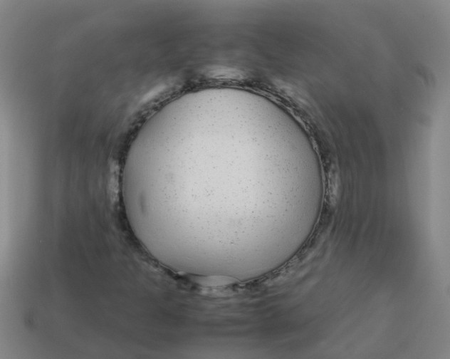 X0000113561301200910161447