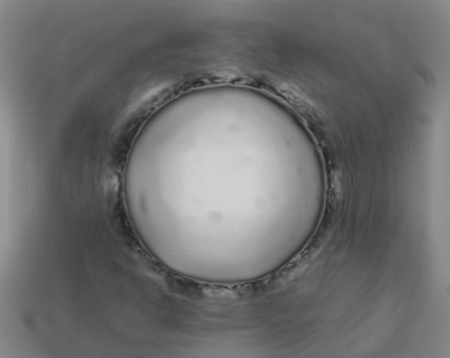 X0000113561302200910161447