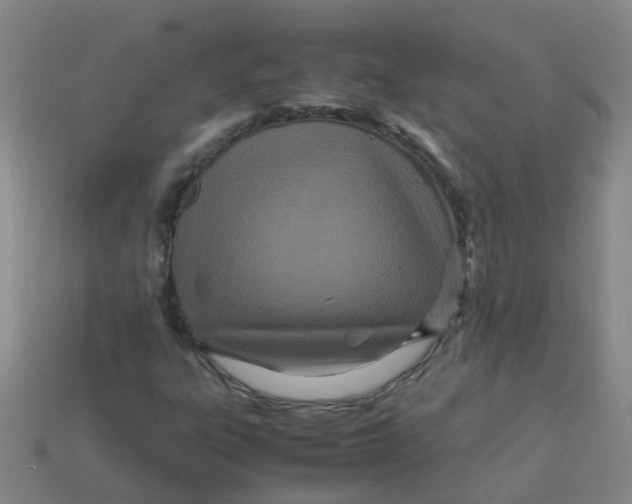 X0000113561303200910161447