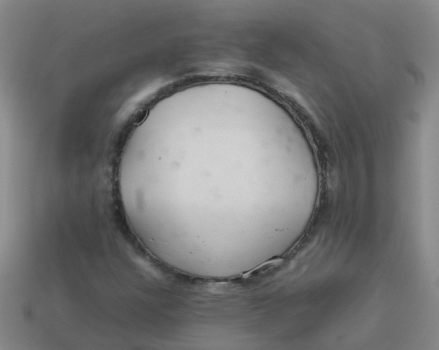 X0000113561304200910161447