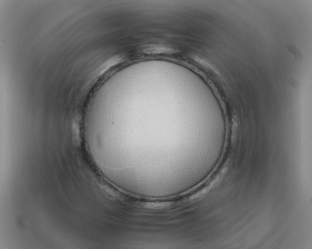 X0000113561305200910161447