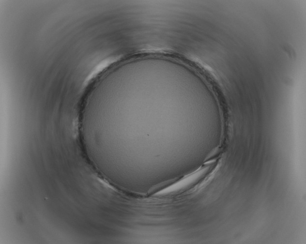 X0000113561306200910161447