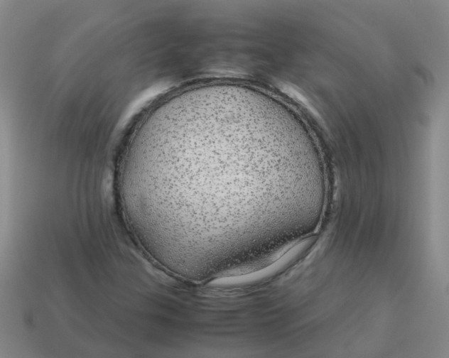 X0000113561307200910161447