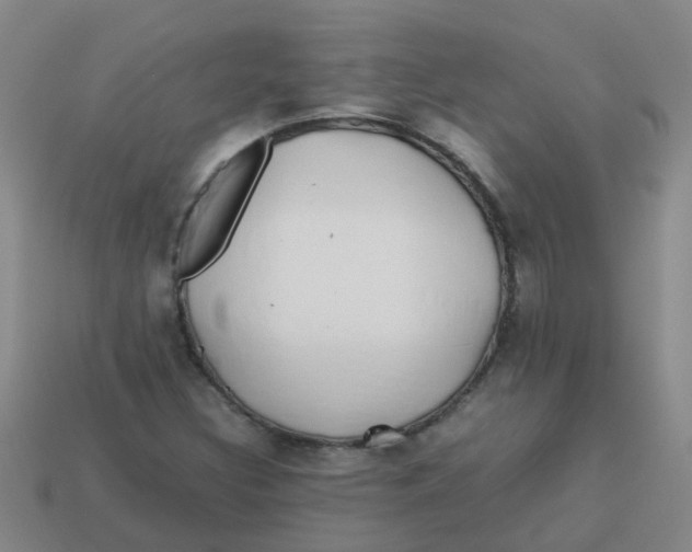 X0000113561308200910161447