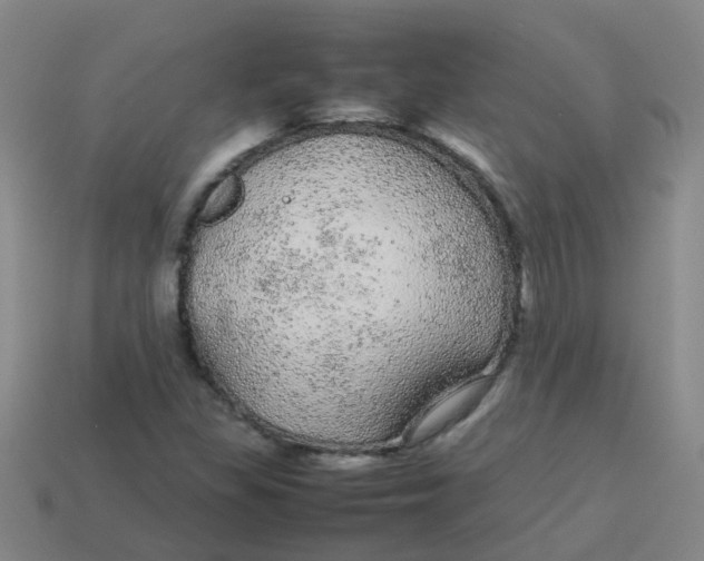 X0000113561309200910161447