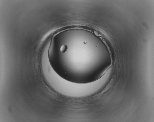 X0000113561310200910161447