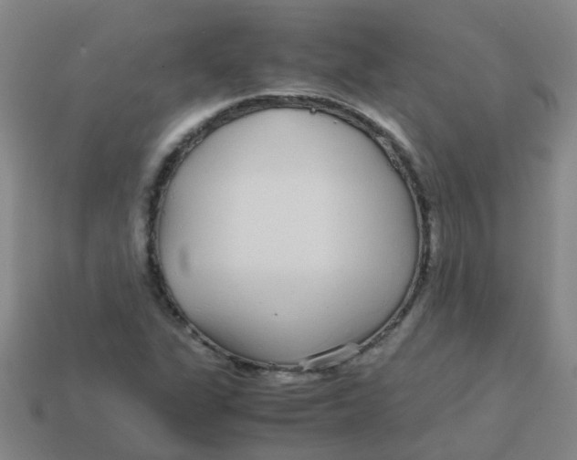 X0000113561311200910161447