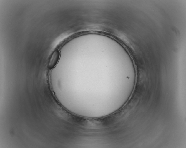 X0000113561312200910161447