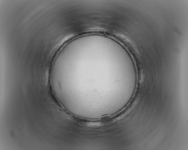 X0000113561313200910161448