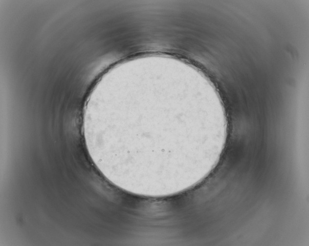 X0000113561314200910161448
