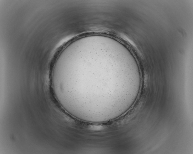 X0000113561315200910161448