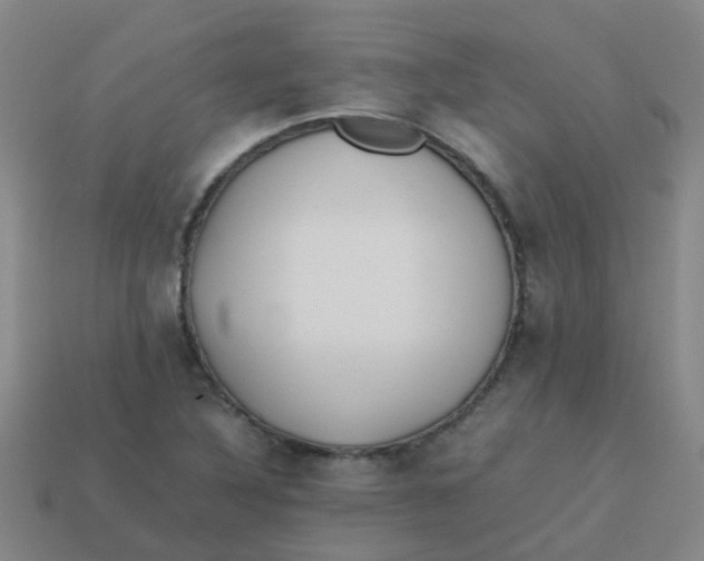 X0000113561316200910161448