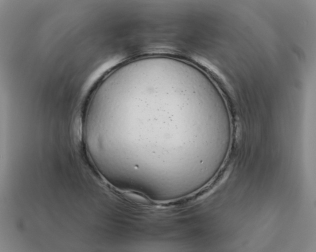 X0000113561317200910161448