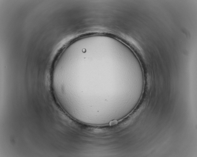 X0000113561318200910161448