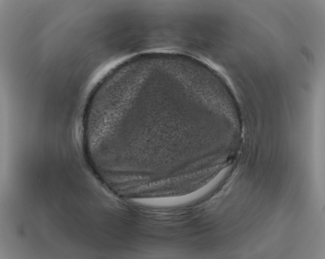 X0000113561319200910161448