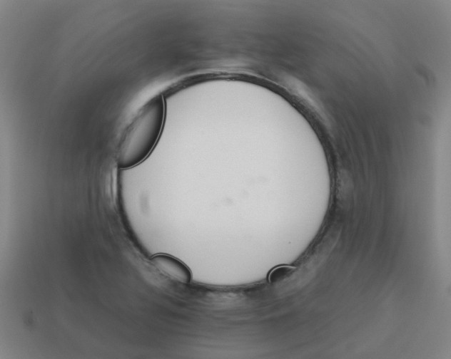 X0000113561320200910161448