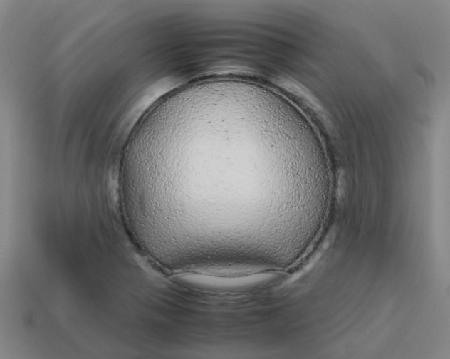 X0000113561321200910161448