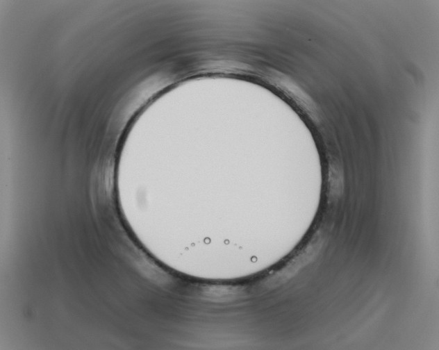 X0000113561322200910161448