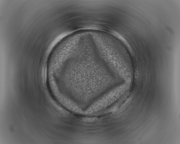 X0000113561323200910161448