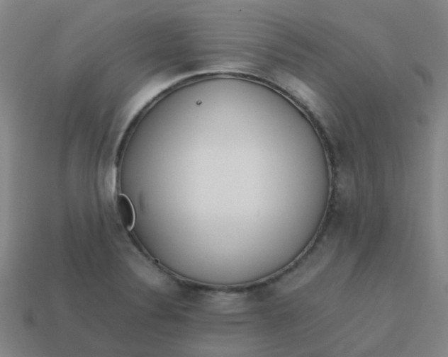 X0000113561324200910161448