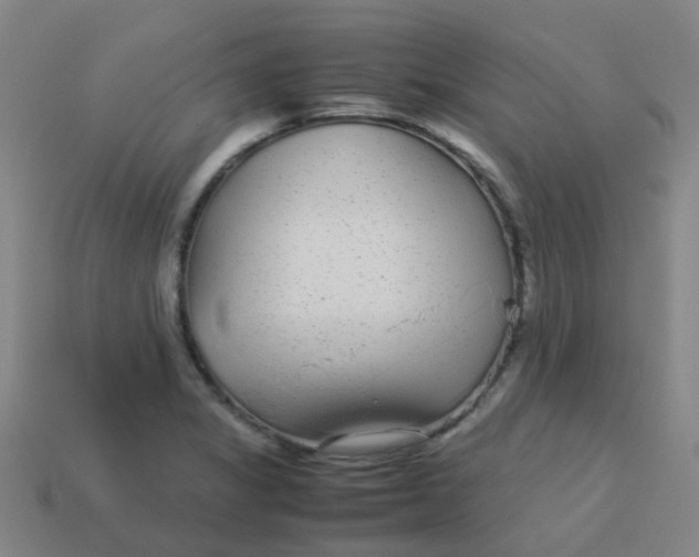X0000113561325200910161448