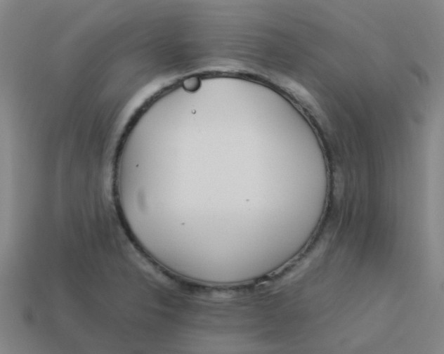 X0000113561326200910161448