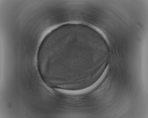 X0000113561327200910161448
