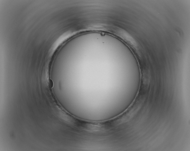 X0000113561328200910161448