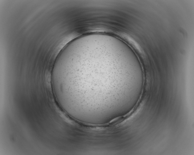 X0000113561329200910161448
