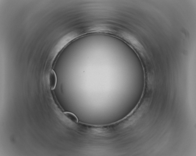 X0000113561330200910161448
