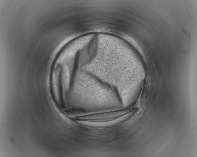 X0000113561331200910161448