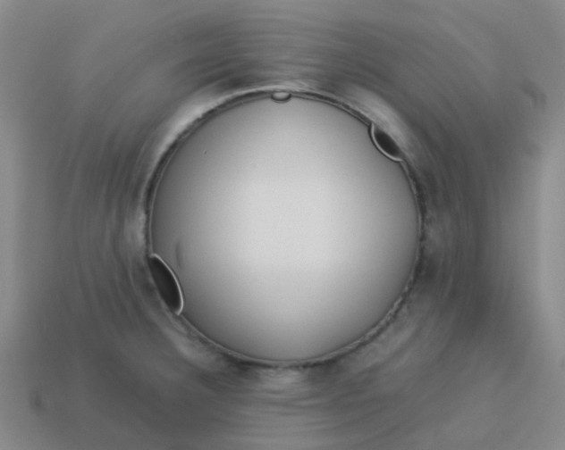 X0000113561332200910161448